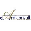 Amiconsult Accountancy