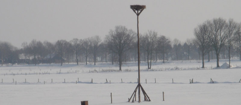Werkgroep